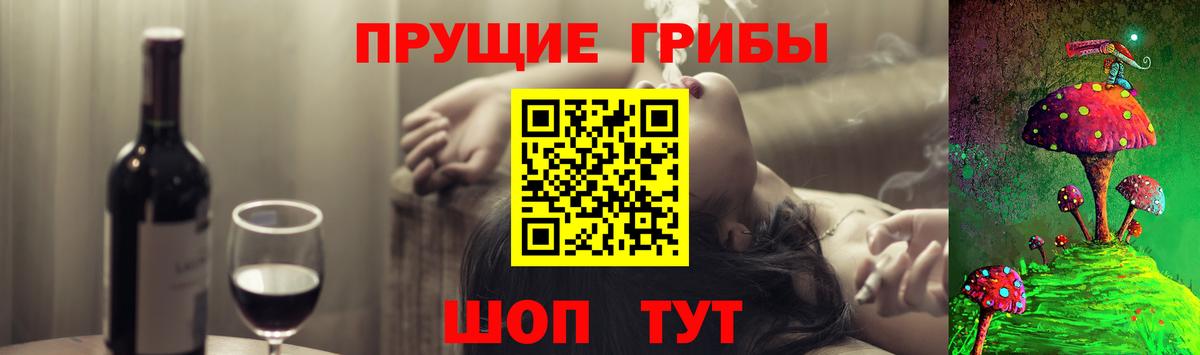 закладка  Вход с VPN  Губаха  Галлюциногенные грибы Psilocybe 
